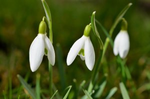 Ben jij al klaar voor de lente? Bekijk de Voorjaarscollectie 2017